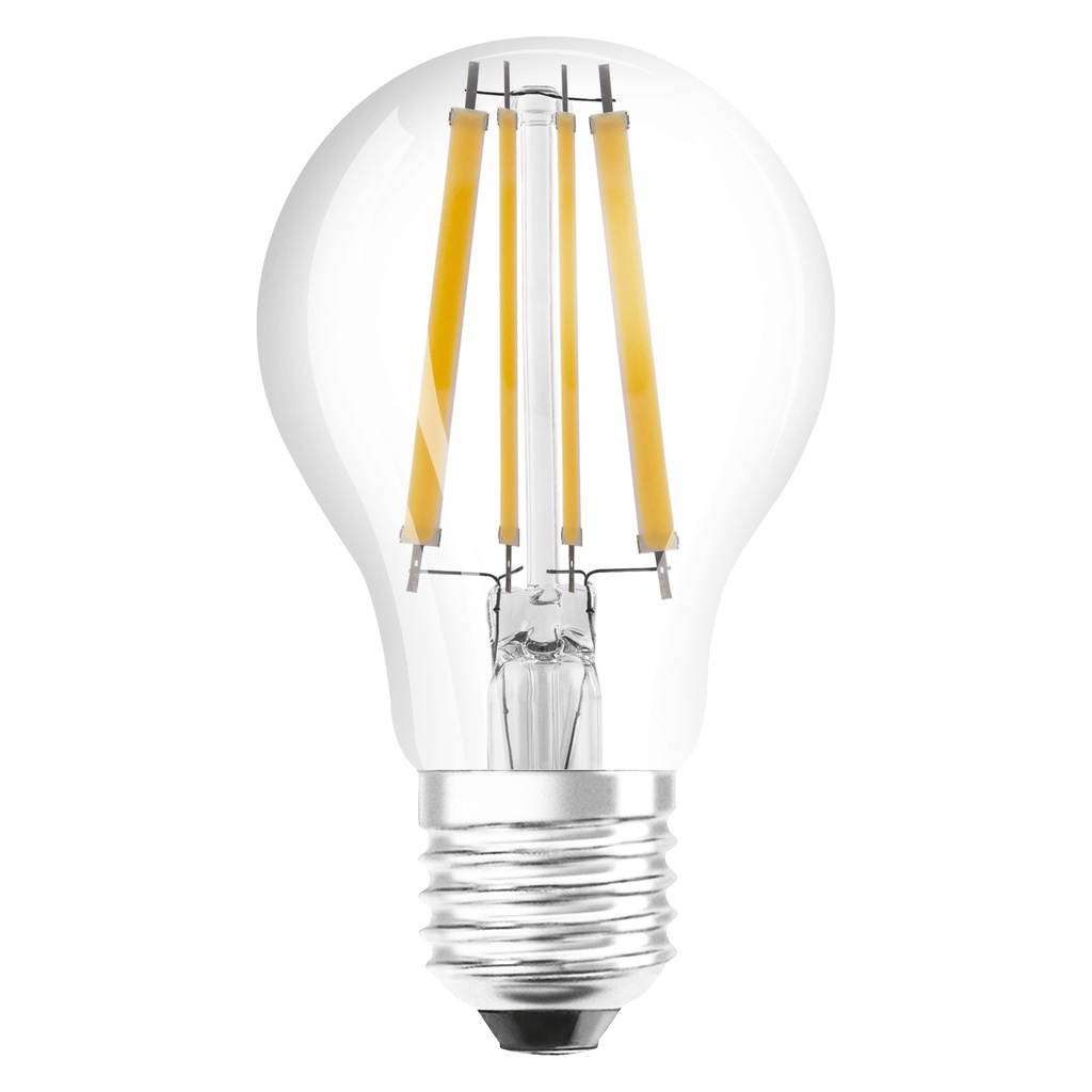 ledlamp E27 10W filament warm wit